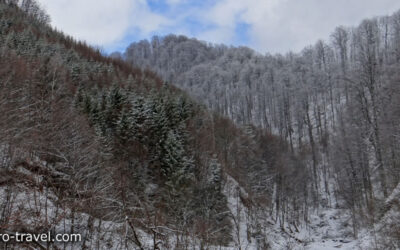 Naturpark Gradistea Muncelului