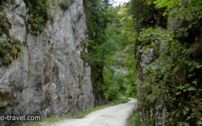 Prapastiile Zarnestiului Schlucht