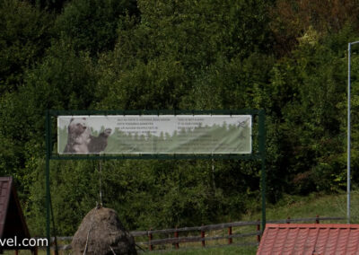 Bärenreservat (Rezervatia de Ursi)