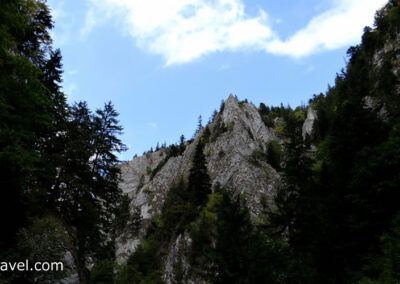 Carpathians Gorge Zarnesti