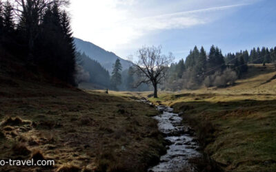 Piatra Mare Nature Reserve