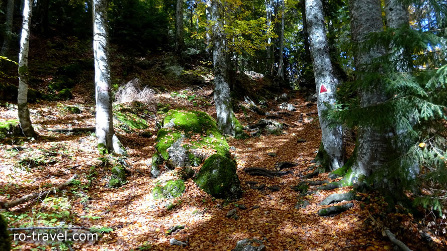 Hiking Path Romania