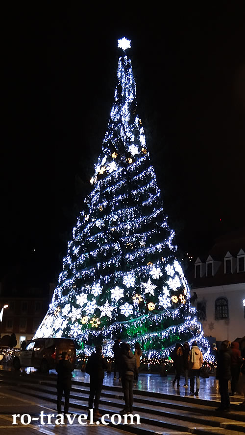 Weihnachtsbaum Brasov