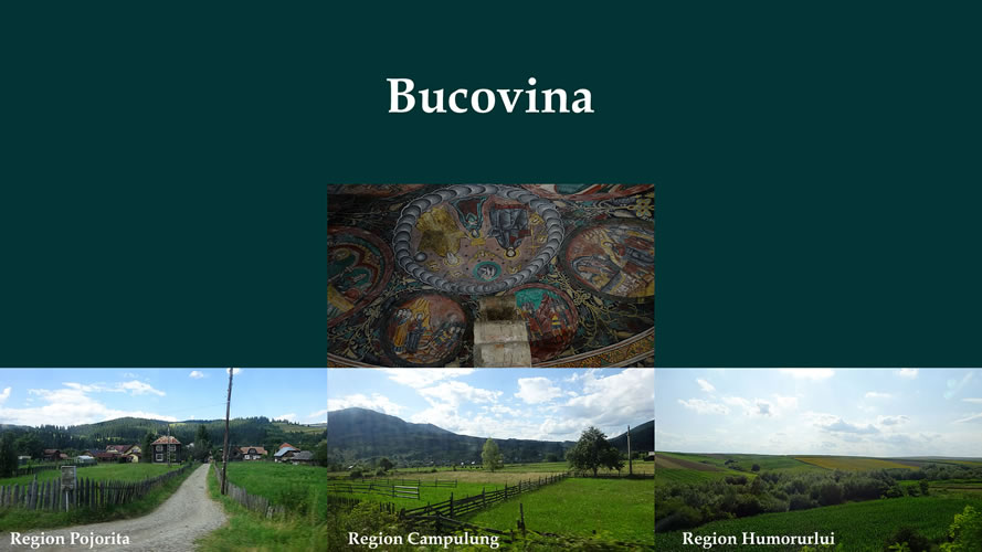 Bucovina part of Romania