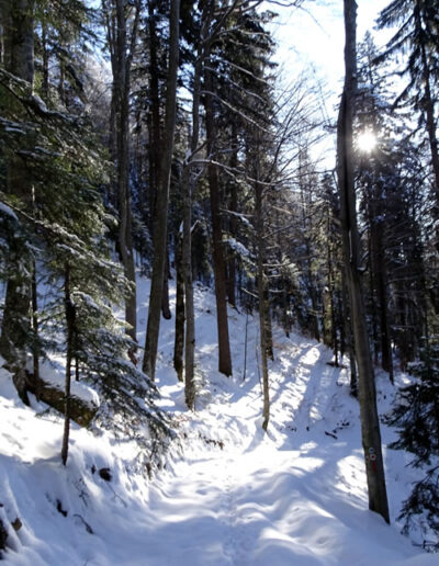 Winter Paradise Romania