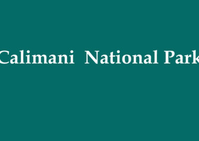 Calimani National Park