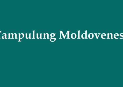 Campulung Moldovenesc