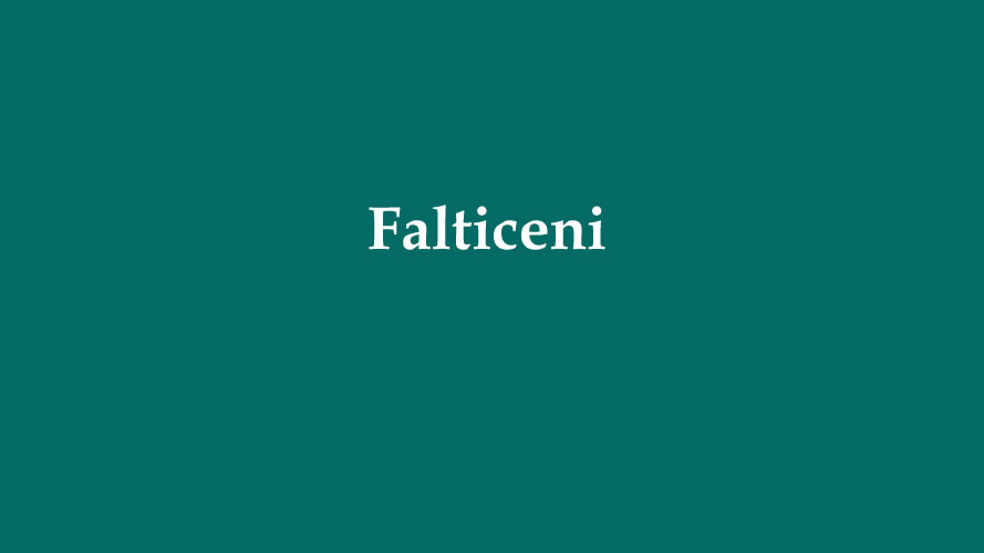 City of Falticeni