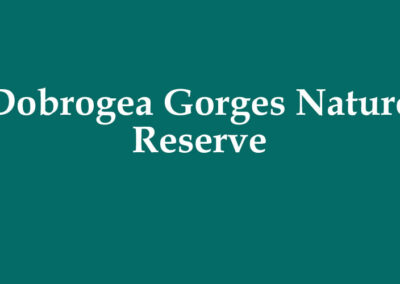 Dobrogea Gorges Nature Reserve