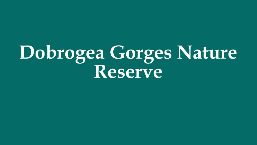 Dobrogea Gorges Nature Reserve 