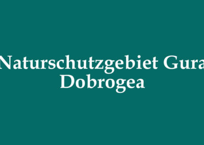 Gura Dobrogea
