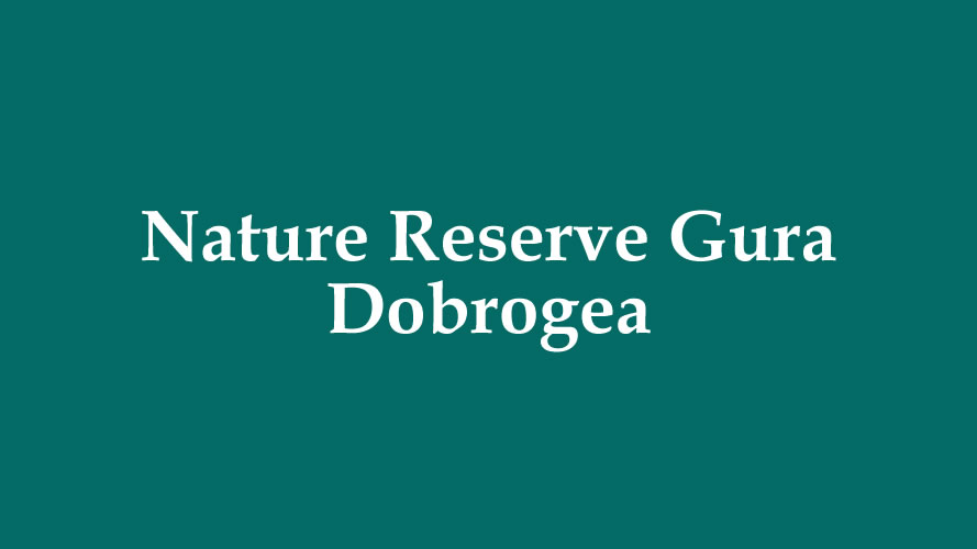 Gura Dobrogea Nature Reserve 