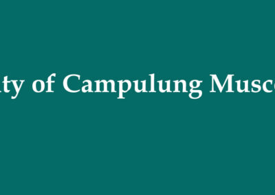 City of Campulung Muscel