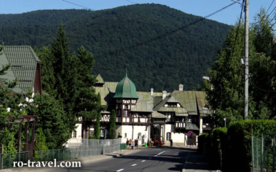 Discover Sinaia