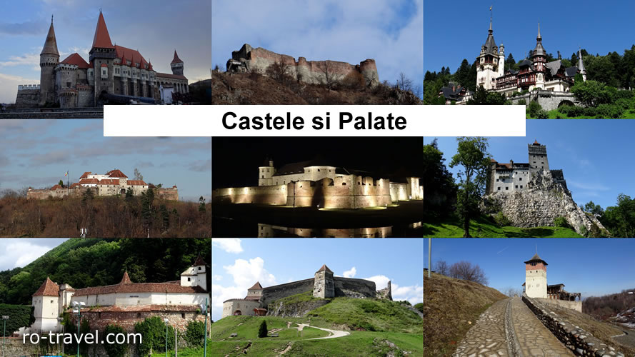 Castele si Palate