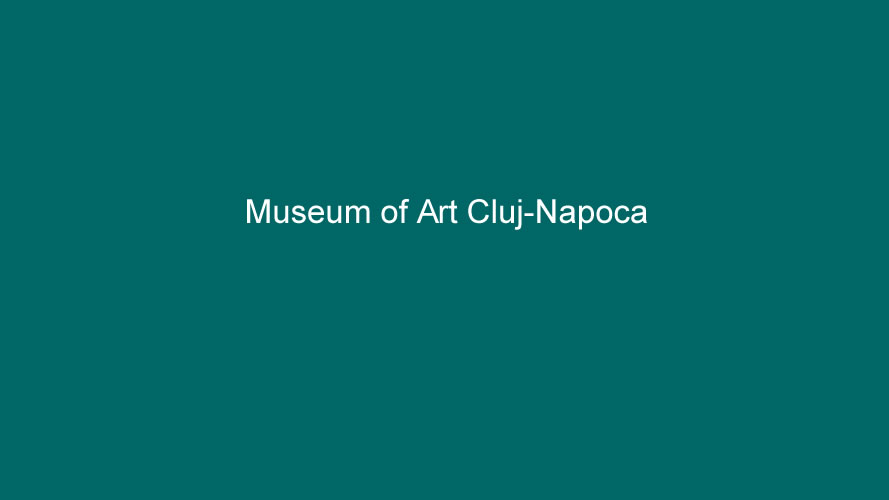 Museum of Art Cluj
